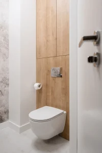 Concealed Cistern