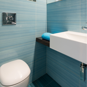 AquaFlow One-Piece Water Closet