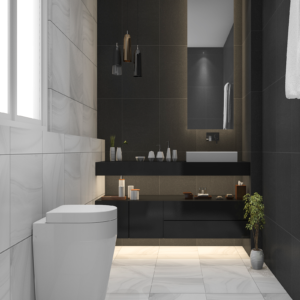 AquaFlow One-Piece Water Closet