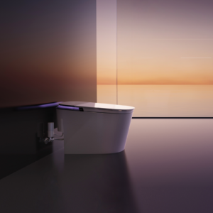 AquaFlow One-Piece Water Closet