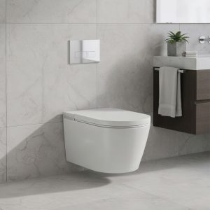 Wall Hung Watercloset